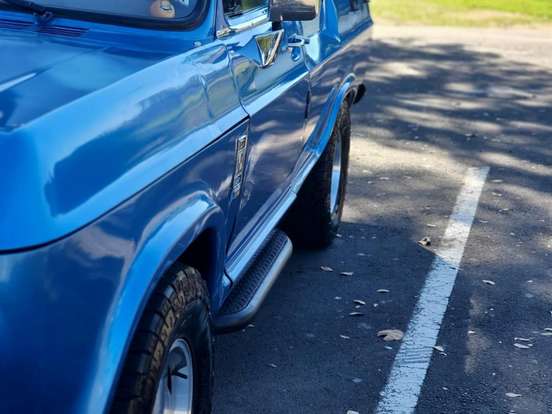 CHEVROLET-D10-4.0 CUSTOM S CD 8V DIESEL 4P MANUAL CHEVROLET-D10-1979