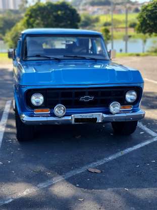 CHEVROLET-D10-4.0 CUSTOM S CD 8V DIESEL 4P MANUAL CHEVROLET-D10-1979