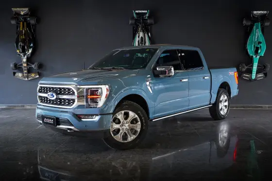 FORD F-150 5.0 V8 GASOLINA CD PLATINUM FX4 AUTOMÁTICO FORD F-150 5.0 V8 GASOLINA CD PLATINUM FX4 AUTOMÁTICO