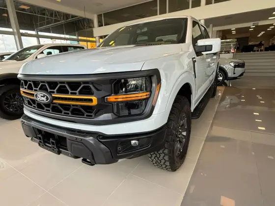 FORD F-150 5.0 V8 GASOLINA CD TREMOR FX4 AUTOMÁTICO FORD F-150 5.0 V8 GASOLINA CD TREMOR FX4 AUTOMÁTICO