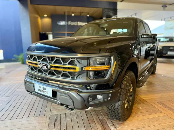 FORD F-150 5.0 V8 GASOLINA CD TREMOR FX4 AUTOMÁTICO FORD F-150 5.0 V8 GASOLINA CD TREMOR FX4 AUTOMÁTICO