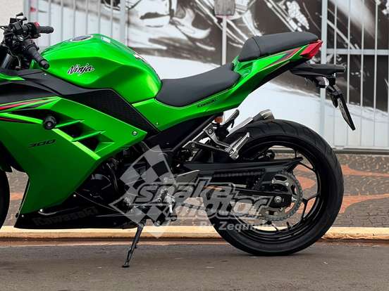 KAWASAKI-NINJA 300 KAWASAKI-NINJA 300-2024