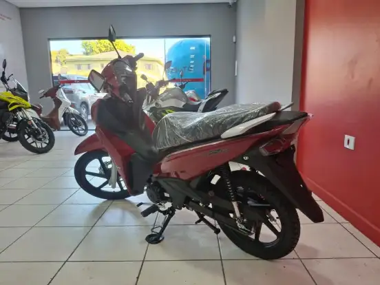 SHINERAY-RIO 125 SHINERAY-RIO 125-2026