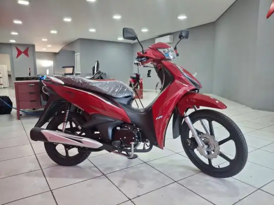 SHINERAY-RIO 125 SHINERAY-RIO 125-2026