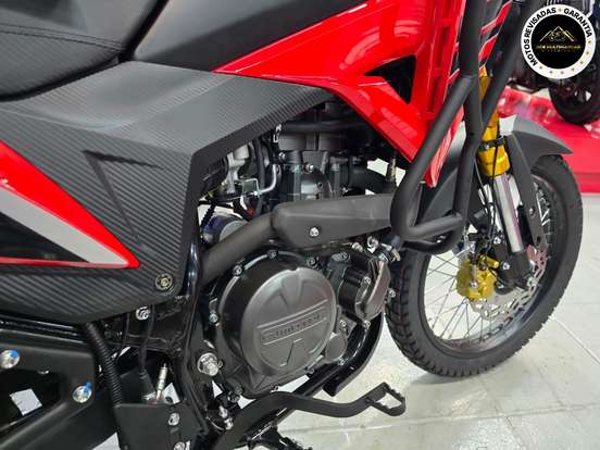 SHINERAY-SBM 250 T-2026