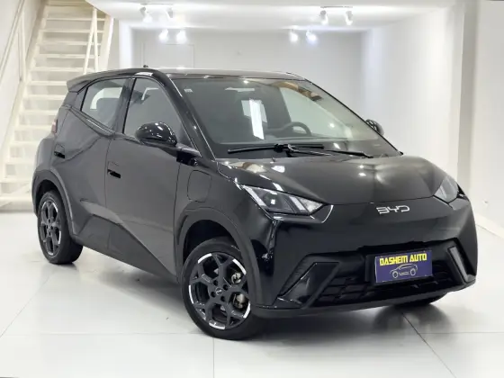 BYD DOLPHIN MINI 38 KW ELÉTRICO GS