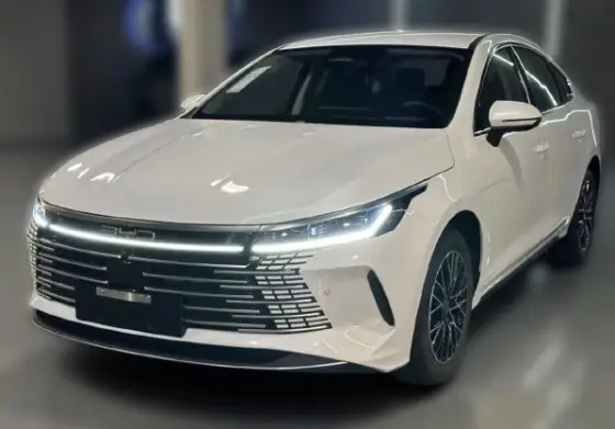BYD KING 1.5 DM-I PHEV GS AUTOMÁTICO BYD KING 1.5 DM-I PHEV GS AUTOMÁTICO