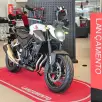 HONDA CB 500 HORNET HONDA CB 500 HORNET