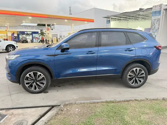 GWM-HAVAL H6-1.5 PHEV19 E-TRACTION GWM-HAVAL H6-2024