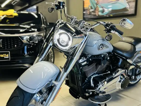 HARLEY-DAVIDSON-SOFTAIL FAT BOY 117 HARLEY-DAVIDSON-SOFTAIL FAT BOY 117-2025
