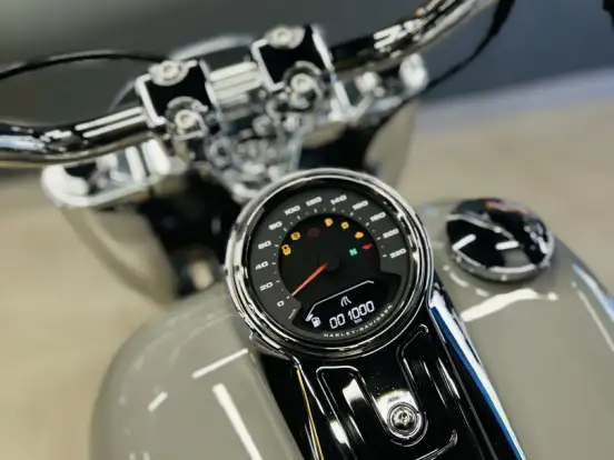 HARLEY-DAVIDSON-SOFTAIL FAT BOY 117 HARLEY-DAVIDSON-SOFTAIL FAT BOY 117-2025