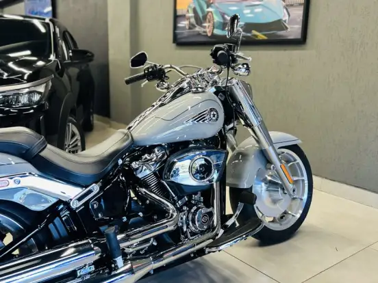HARLEY-DAVIDSON-SOFTAIL FAT BOY 117 HARLEY-DAVIDSON-SOFTAIL FAT BOY 117-2025