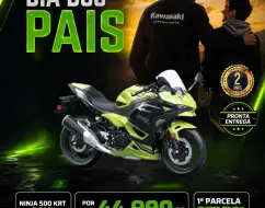 KAWASAKI NINJA 500 SE KAWASAKI NINJA 500 SE