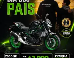 KAWASAKI Z500 SE KAWASAKI Z500 SE