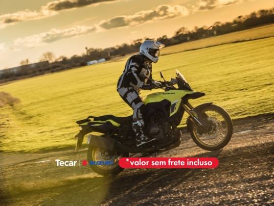 SUZUKI V-STROM 800 DE 