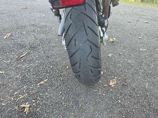 DUCATI-MULTISTRADA 1200 V4 RALLY ADVENTURE-2024