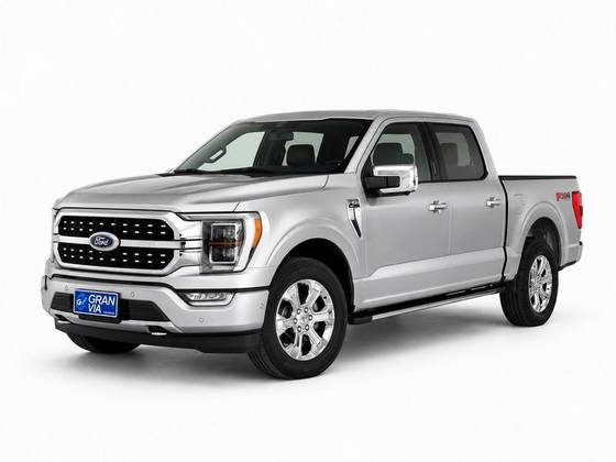 FORD F-150 5.0 V8 GASOLINA CD PLATINUM FX4 AUTOMÁTICO