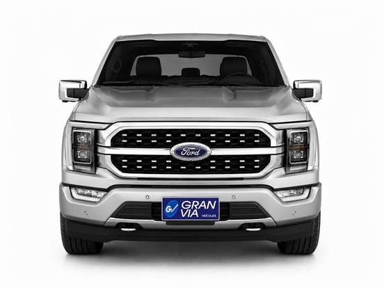 FORD-F-150-5.0 V8 GASOLINA CD PLATINUM FX4 AUTOMÁTICO FORD-F-150-2023