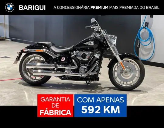 HARLEY-DAVIDSON SOFTAIL FAT BOY 117 HARLEY-DAVIDSON SOFTAIL FAT BOY 117