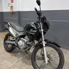HONDA NX4 FALCON HONDA NX4 FALCON