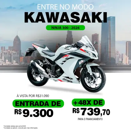 KAWASAKI NINJA 300 KAWASAKI NINJA 300