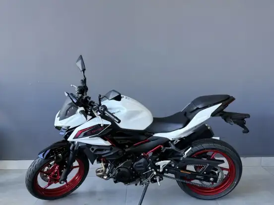 KAWASAKI-Z500 SE KAWASAKI-Z500 SE-2026