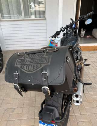 HARLEY-DAVIDSON-SOFTAIL FAT BOB 114 HARLEY-DAVIDSON-SOFTAIL FAT BOB 114-2021