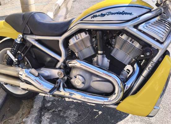 HARLEY-DAVIDSON-STREET ROD-2005