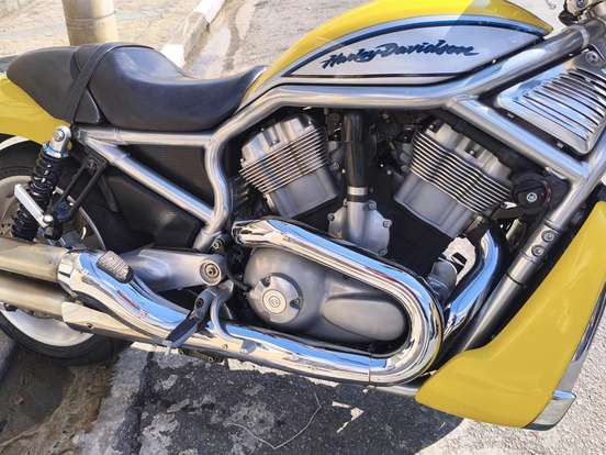 HARLEY-DAVIDSON-STREET ROD HARLEY-DAVIDSON-STREET ROD-2005