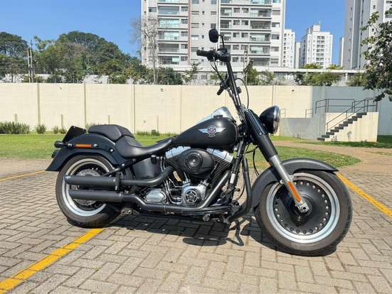 HARLEY-DAVIDSON-SOFTAIL FAT BOY SPECIAL-2014