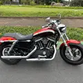 HARLEY-DAVIDSON SPORTSTER 1200 CUSTOM CA LIMITED HARLEY-DAVIDSON SPORTSTER 1200 CUSTOM CA LIMITED