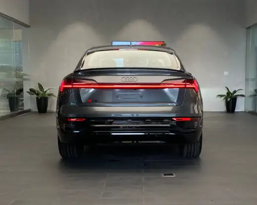 AUDI-Q8 E-TRON-2023