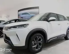 BYD YUAN PRO 45,1 KW ELÉTRICO BYD YUAN PRO 45,1 KW ELÉTRICO