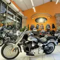 HARLEY-DAVIDSON FAT BOY FLSTF HARLEY-DAVIDSON FAT BOY FLSTF