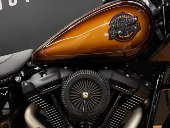 HARLEY-DAVIDSON-LOW RIDER ST-2024