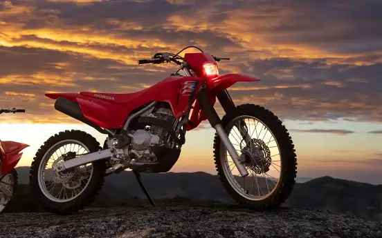HONDA-CRF 300F-2026