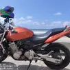 HONDA CB 600F HORNET HONDA CB 600F HORNET