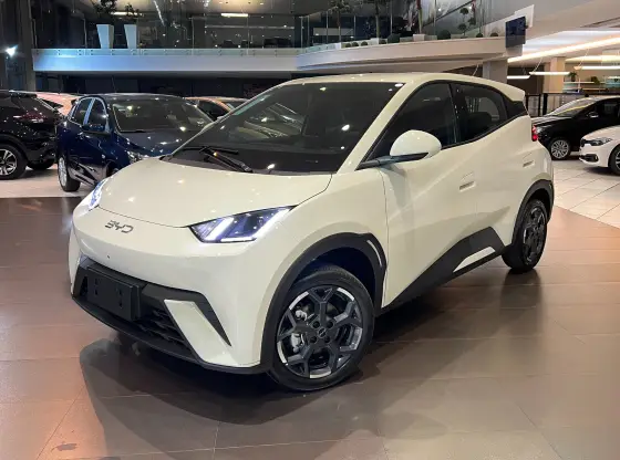 BYD DOLPHIN MINI 38 KW ELÉTRICO GS