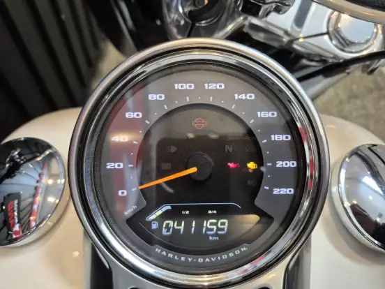 HARLEY-DAVIDSON-SOFTAIL FAT BOY 114 HARLEY-DAVIDSON-SOFTAIL FAT BOY 114-2018
