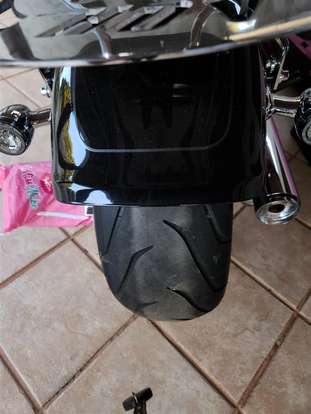HARLEY-DAVIDSON-SOFTAIL FAT BOY 114 HARLEY-DAVIDSON-SOFTAIL FAT BOY 114-2023