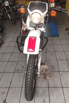 HONDA-XL 250R-1982