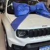 JEEP RENEGADE 1.3 T270 TURBO FLEX AT6 JEEP RENEGADE 1.3 T270 TURBO FLEX AT6