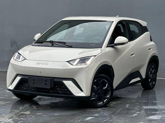 BYD DOLPHIN MINI 38 KW ELÉTRICO GS