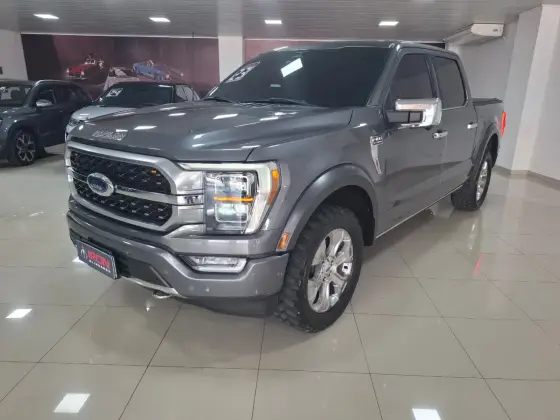 FORD F-150 5.0 V8 GASOLINA CD PLATINUM FX4 AUTOMÁTICO