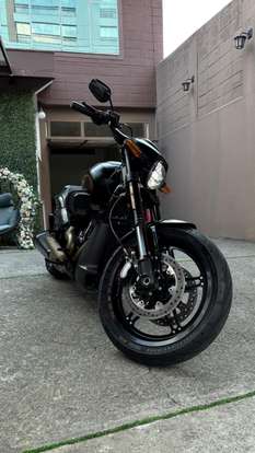 HARLEY-DAVIDSON-SOFTAIL FXDR 114-2019