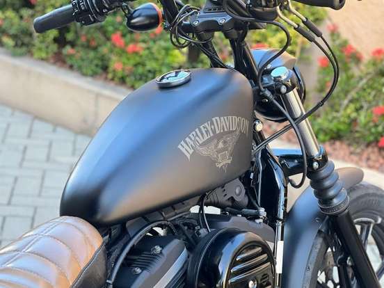 HARLEY-DAVIDSON-SPORTSTER IRON 883 HARLEY-DAVIDSON-SPORTSTER IRON 883-2016