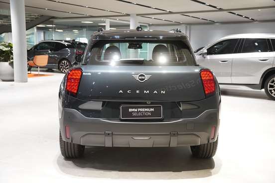 MINI-ACEMAN-2025