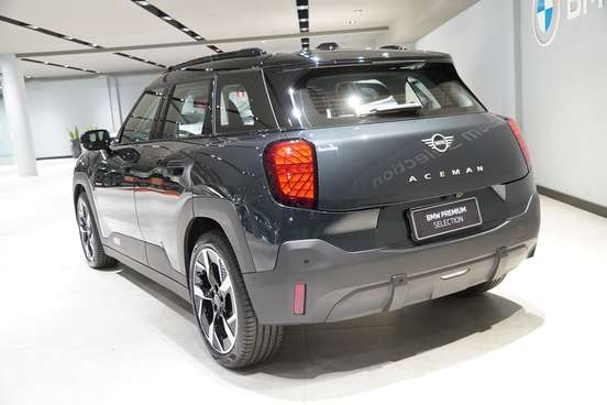 MINI-ACEMAN-2025