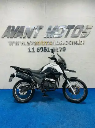 SHINERAY-SHI 175-2024