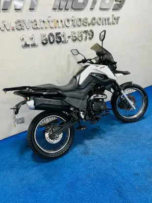SHINERAY-SHI 175-2024